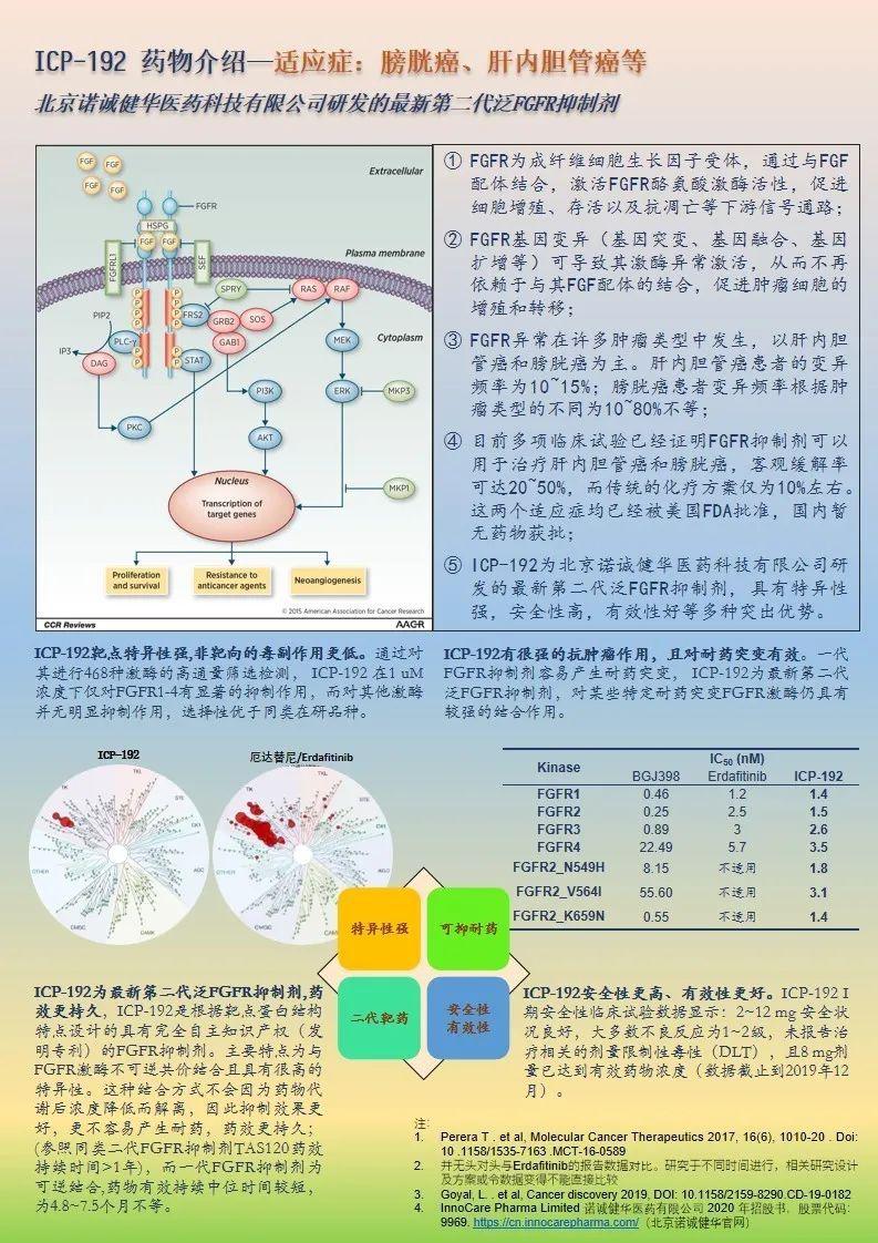 长效八因子临床试验最新成果研究揭秘，突破与创新齐头并进